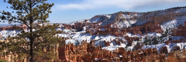 Genifer Graff banner