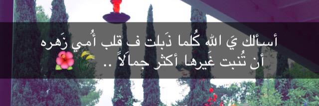 SuMiAbdullah's profile banner image