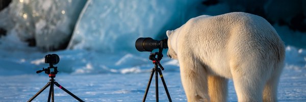 galitz Profile Banner