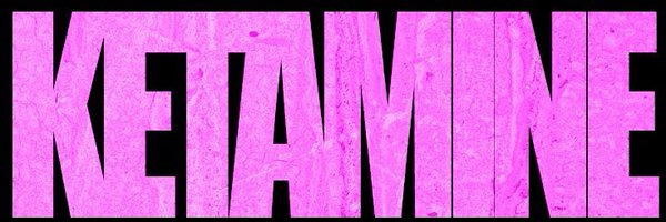 trayedv Profile Banner