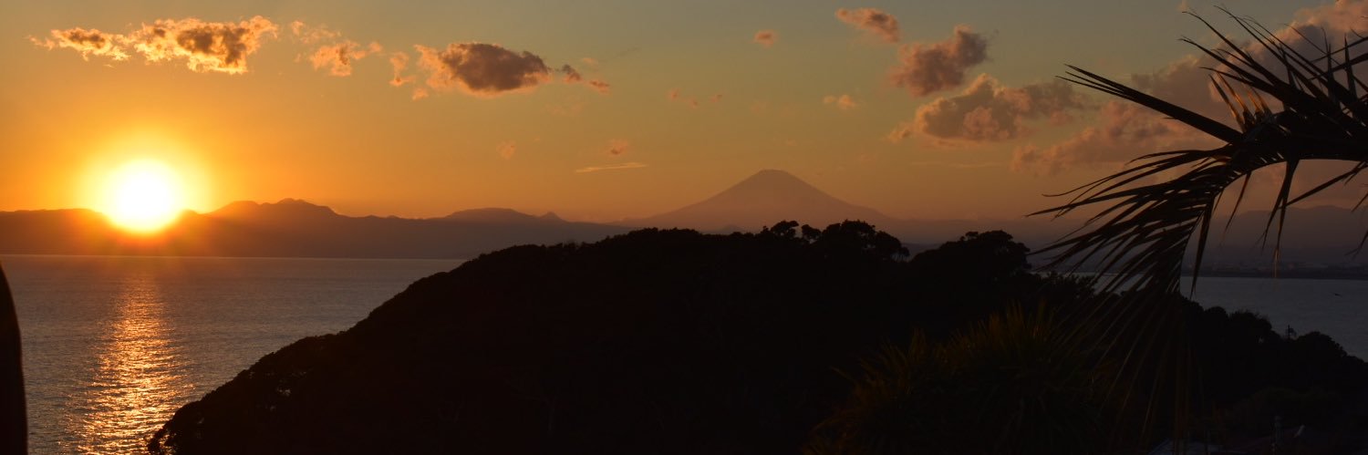 silyalater's profile banner image