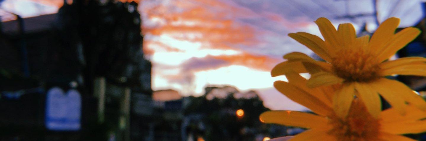 faitdetoiles's profile banner image