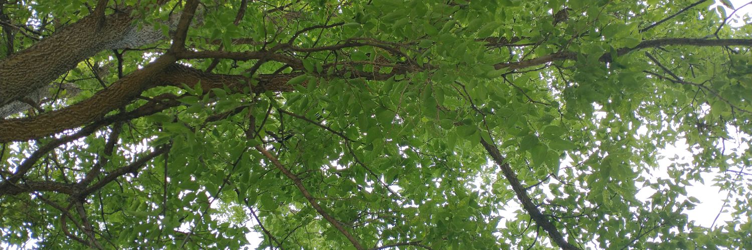 Sources Say🐿️ banner