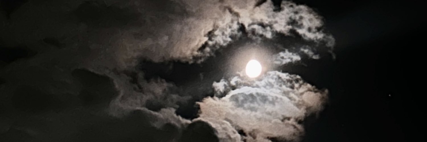 EsveydeBustos's profile banner image
