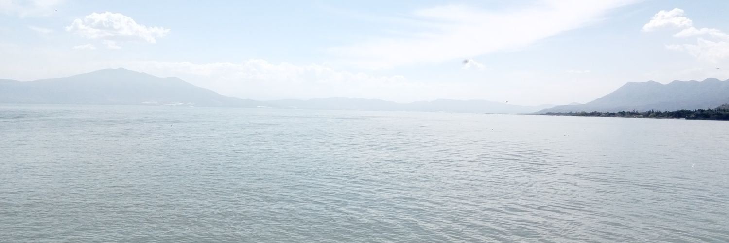 lic_omargtz's profile banner image