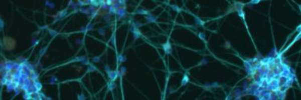 MaraCowen Profile Banner