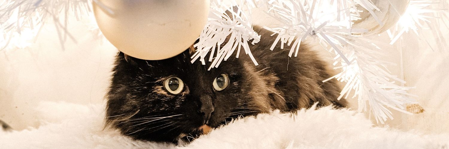 KtotheWilly's profile banner image