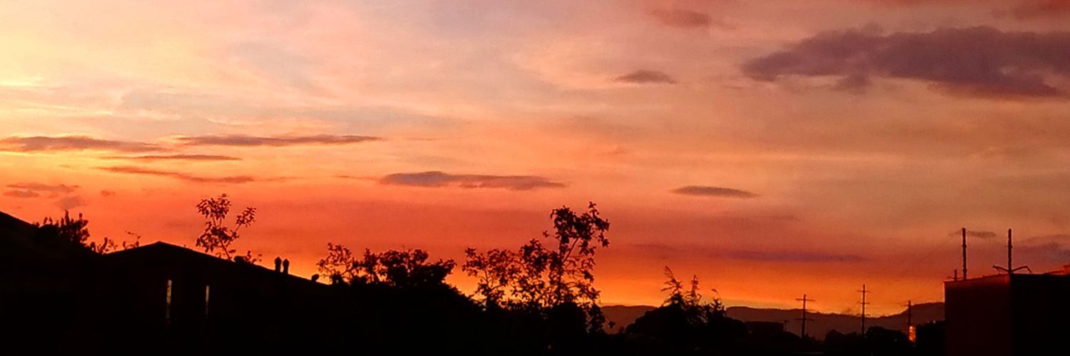 poetataro's profile banner image