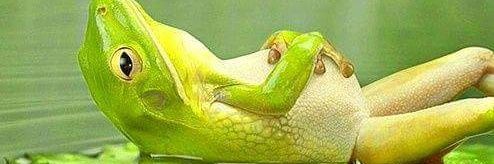 marinobetta's profile banner image