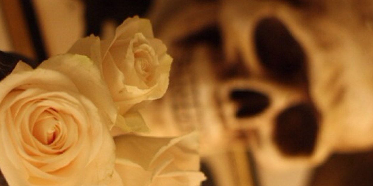 _nicmercer's profile banner image