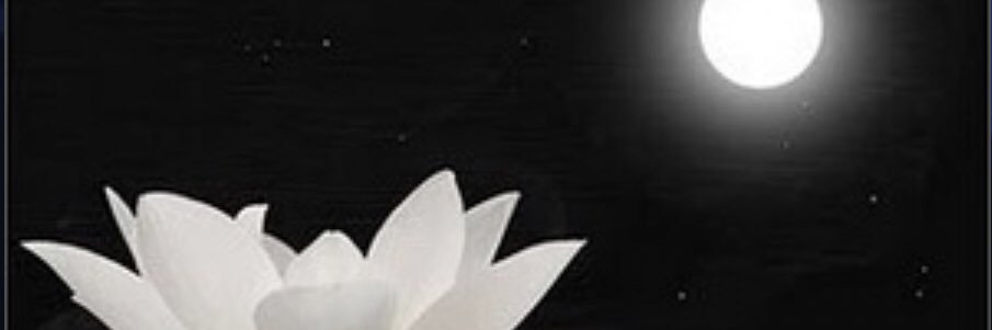 Lostinmyzone's profile banner image