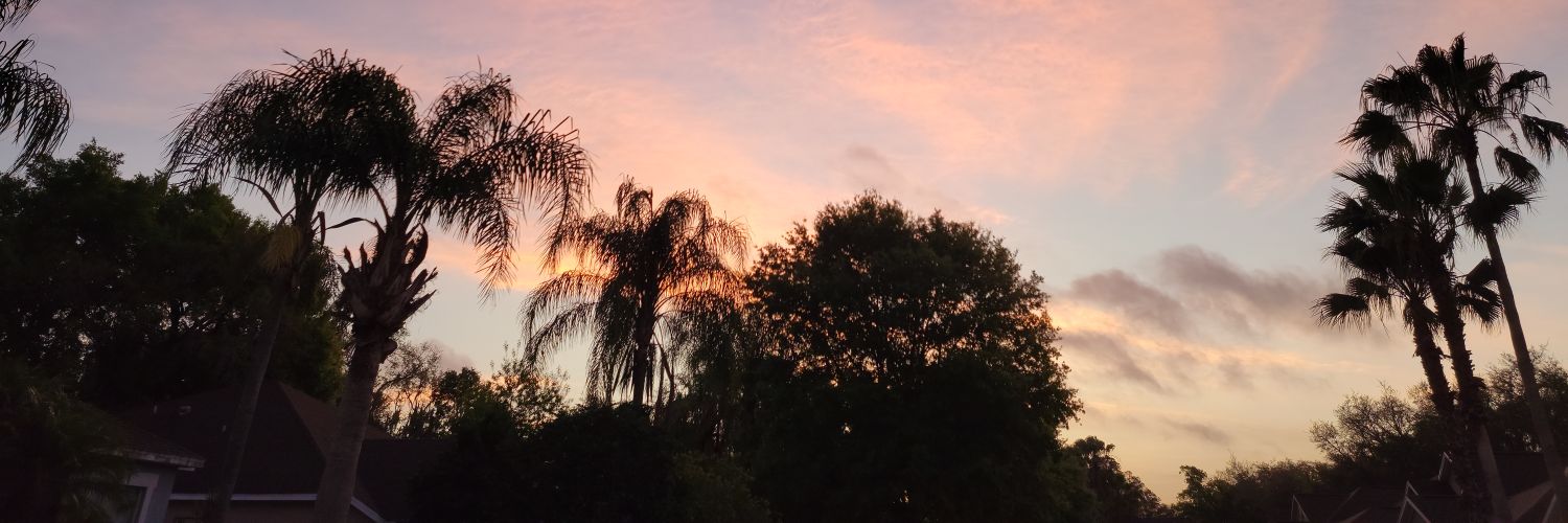 joboos's profile banner image