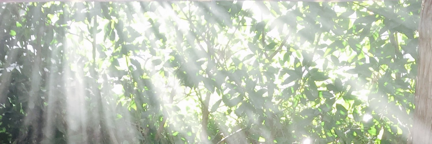 ossanbeam24's profile banner image