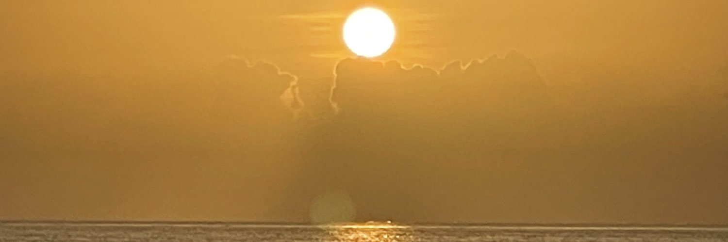 LawBossMom's profile banner image