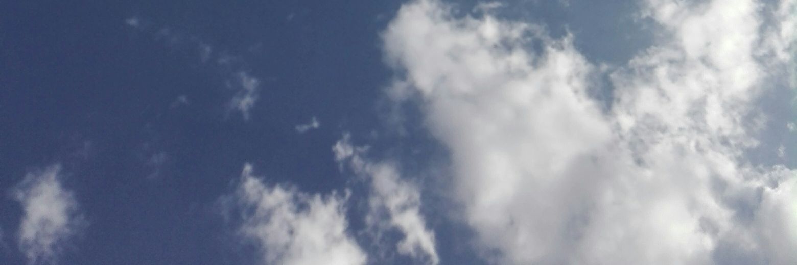 laalilodi's profile banner image