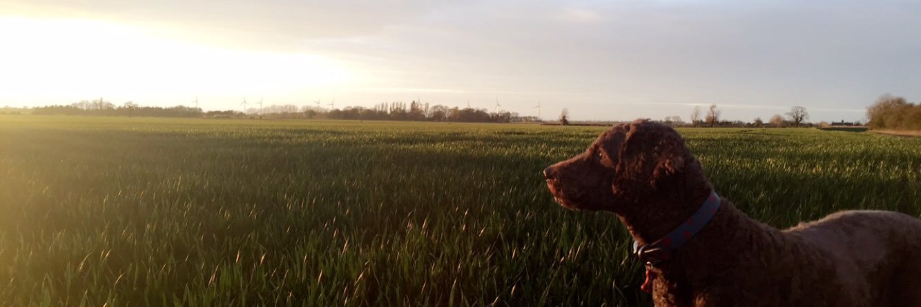 _ChrisEll's profile banner image