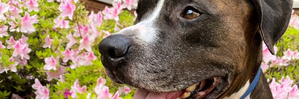 BTone_ Profile Banner