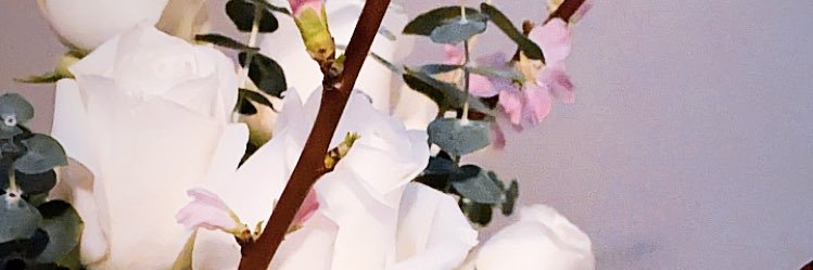 JazzTourelle's profile banner image