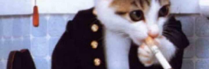 ↜ : ِaLlْaWٰe iPِ◝ banner