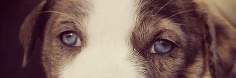 Chann1226's profile banner image