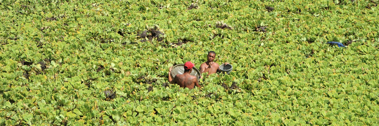 Marcos Moreno banner