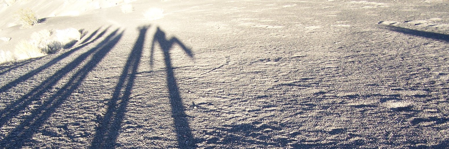 skibonzo's profile banner image