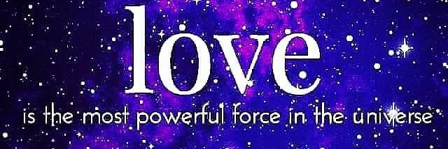 prudence dibenedetto banner