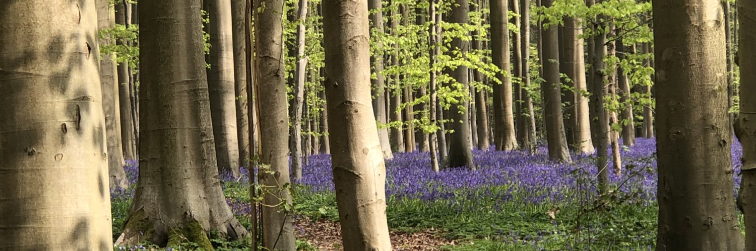 marie nagy🌳🌎🙋🏻‍♀️ banner