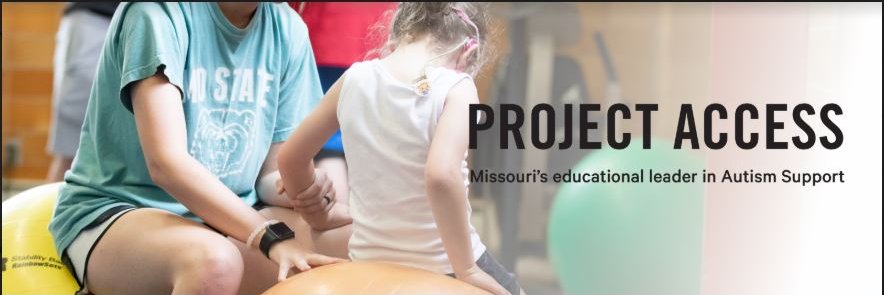 Project Access banner