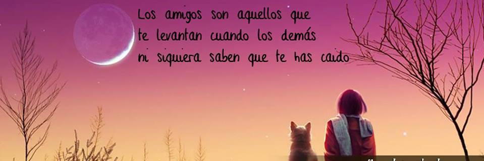 SilentMoises's profile banner image