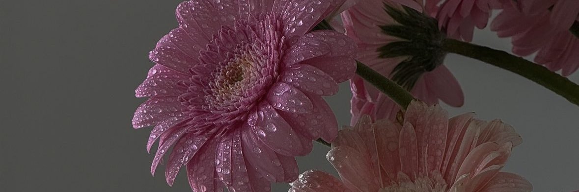 mesha1409's profile banner image