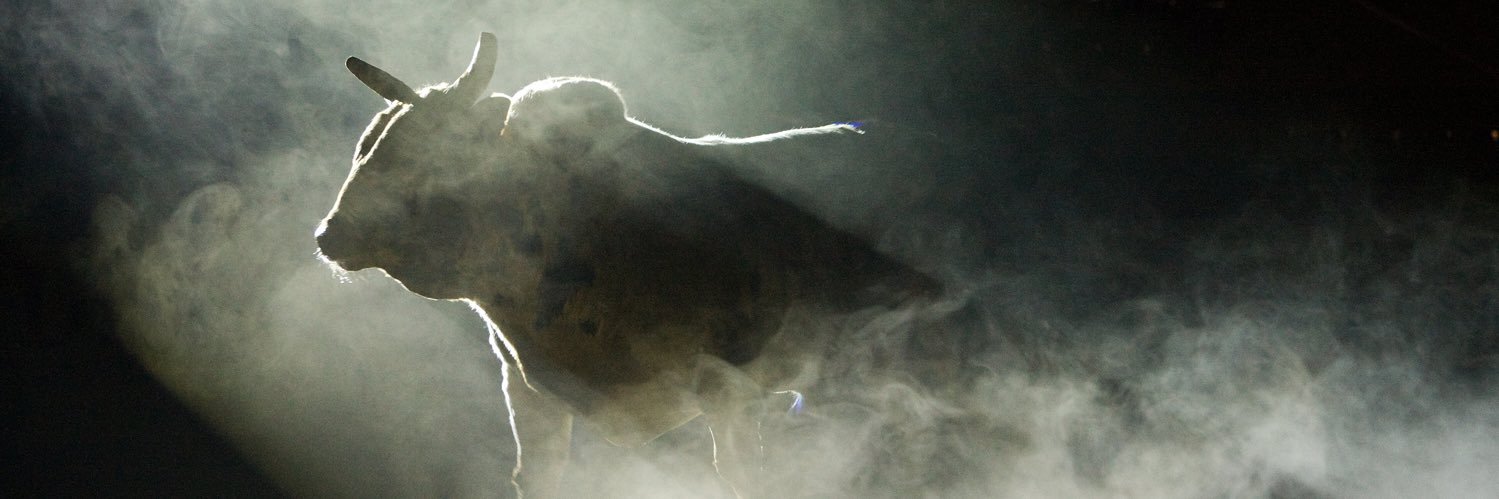 CBRbull's profile banner image