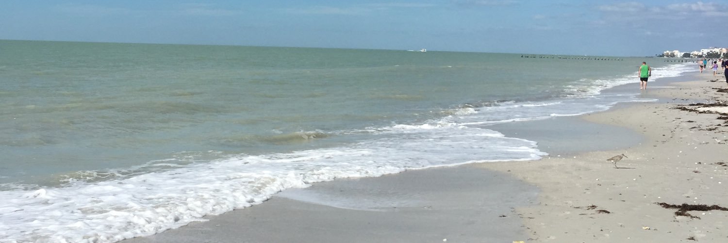Joey_Spaghetti's profile banner image