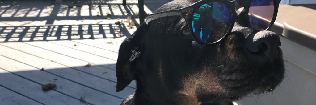 KelliDeeann's profile banner image
