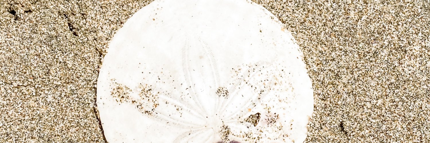 kayynnmm's profile banner image