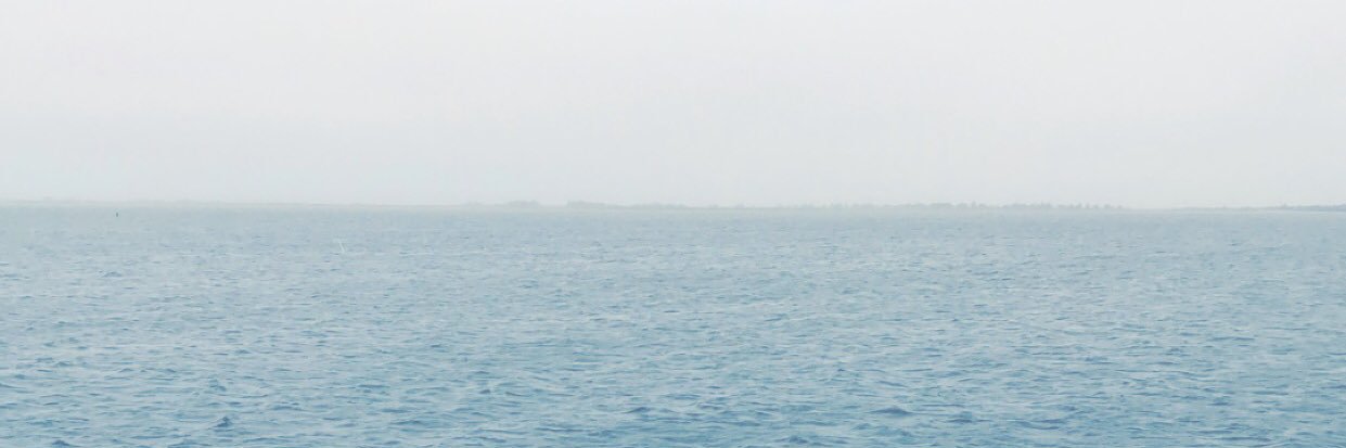 JoeyMcLaughlin2's profile banner image