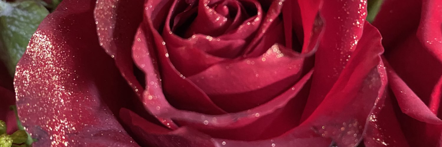 GabrielaparraI's profile banner image