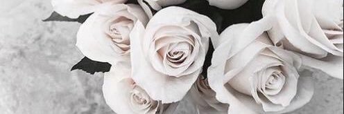 brynn__hale's profile banner image