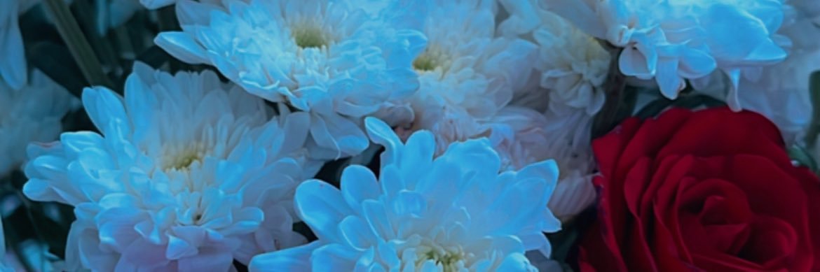 AmbarGaarcia's profile banner image