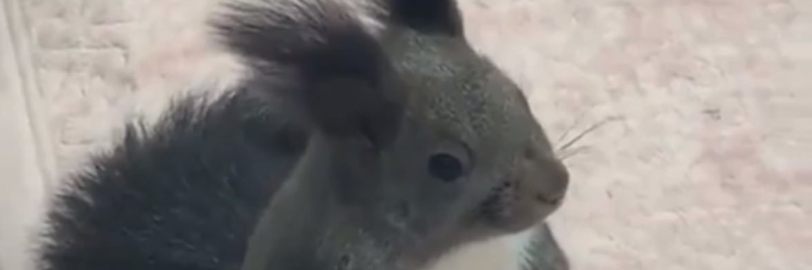 maybedrypalms's profile banner image
