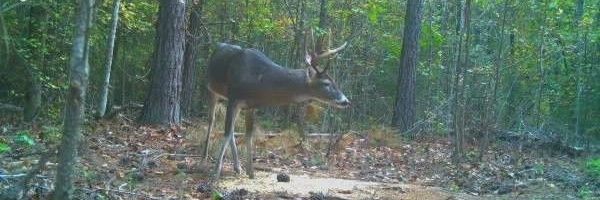 clifffulmer Profile Banner