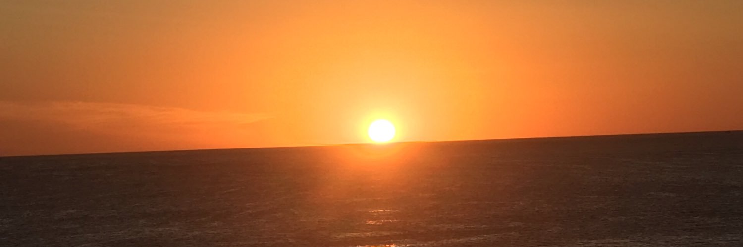 Florencia Carriquiry banner