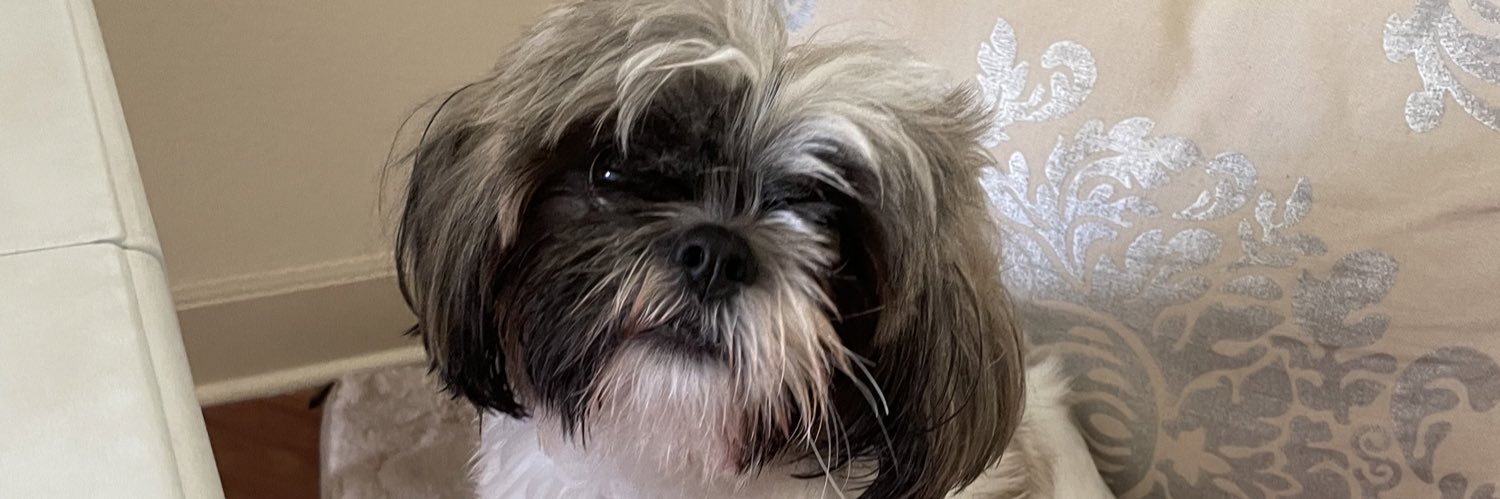 Macy_mackay's profile banner image