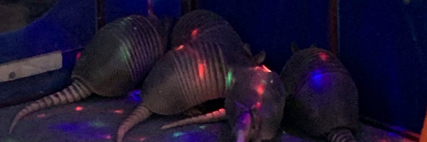 JamieLBPhD's profile banner image