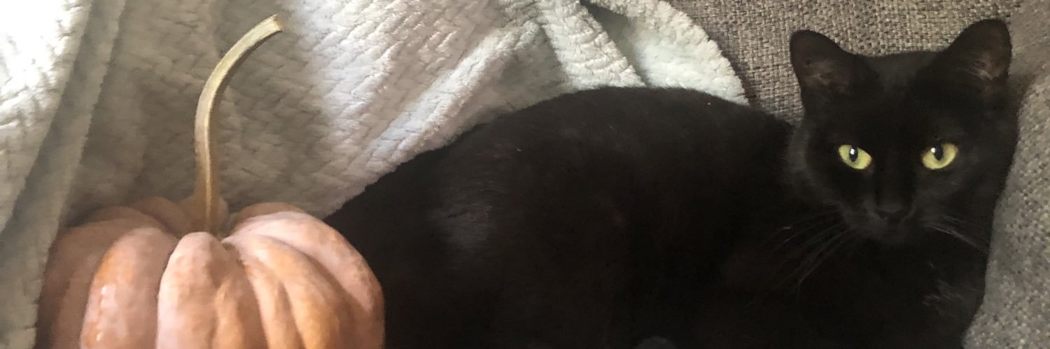 Melissa Bee, RN 📚 banner