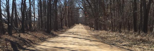 thekidkaiser Profile Banner