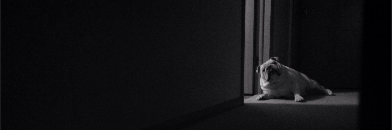MarthaCoaty's profile banner image