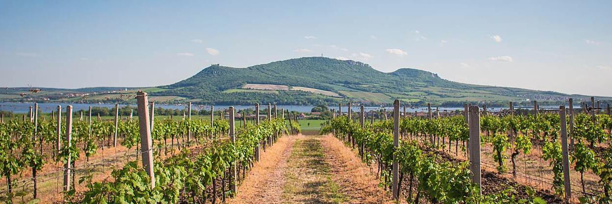 estwinetours's profile banner image