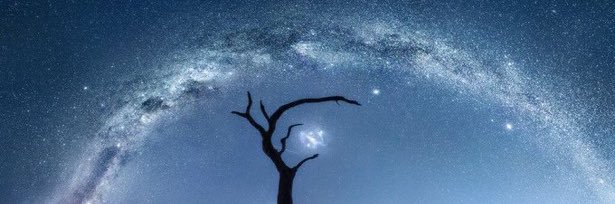 salvatoooore's profile banner image