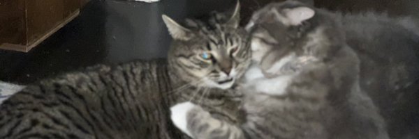 JessActs Profile Banner